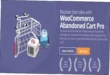 Abandoned Cart Pro for WooCommerce Nulled Free Download