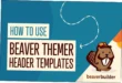 Beaver Themer Nulled Free Download