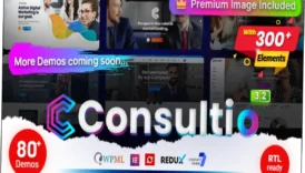 Consultio Theme Nulled Free Download