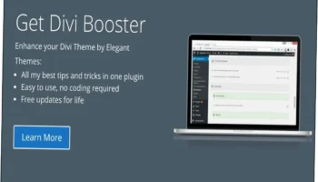 Divi Booster Nulled Free Download