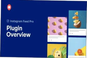 Instagram Feed Pro Nulled Free Download