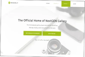 NextGen Gallery Pro Nulled Free Download