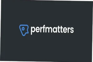 Perfmatters Nulled Free Download