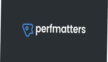 Perfmatters Nulled Free Download