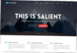 Salient Theme Nulled Free Download