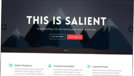 Salient Theme Nulled Free Download