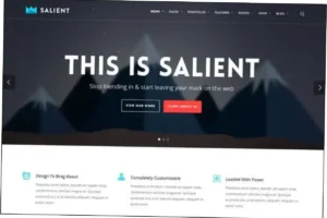 Salient Theme Nulled Free Download